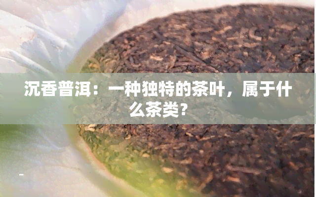 沉香普洱：一种独特的茶叶，属于什么茶类？