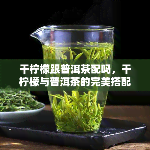 干柠檬跟普洱茶配吗，干柠檬与普洱茶的完美搭配，口感惊艳！