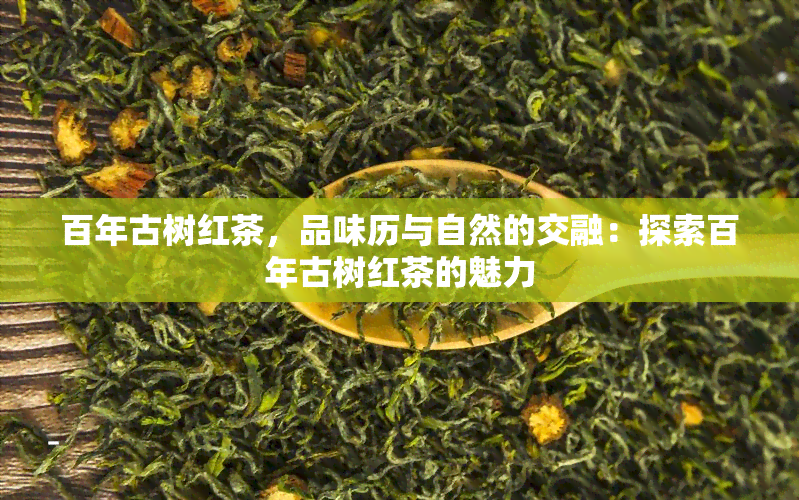 百年古树红茶，品味历与自然的交融：探索百年古树红茶的魅力