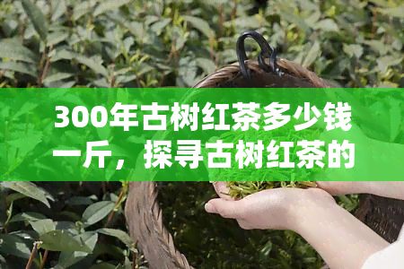 300年古树红茶多少钱一斤，探寻古树红茶的珍稀价值：300年古树红茶市场价格解析