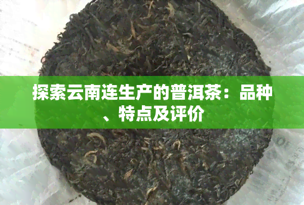 探索云南连生产的普洱茶：品种、特点及评价