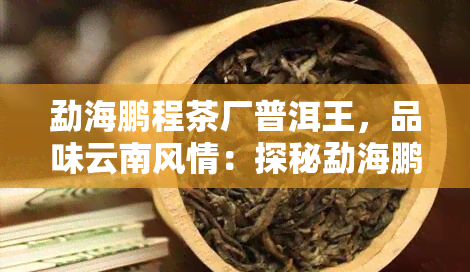 勐海鹏程茶厂普洱王，品味云南风情：探秘勐海鹏程茶厂普洱王的魅力