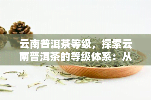 云南普洱茶等级，探索云南普洱茶的等级体系：从嫩叶到老茶，了解它们的区别和特点