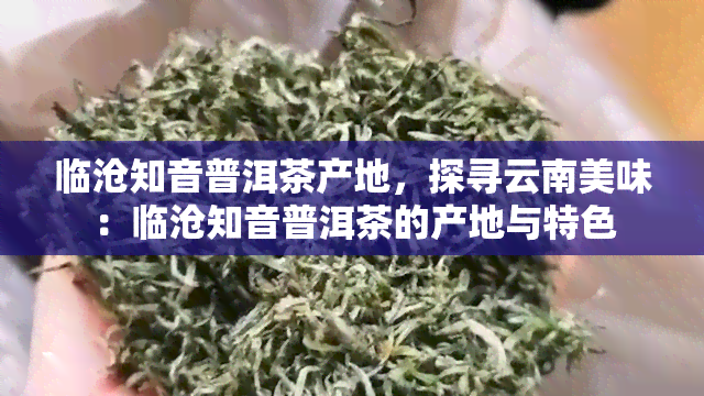 临沧知音普洱茶产地，探寻云南美味：临沧知音普洱茶的产地与特色