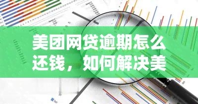 美团网贷逾期怎么还钱，如何解决美团网贷逾期问题并进行还款？