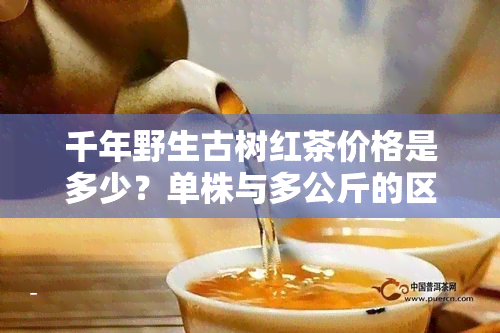 千年野生古树红茶价格是多少？单株与多公斤的区别