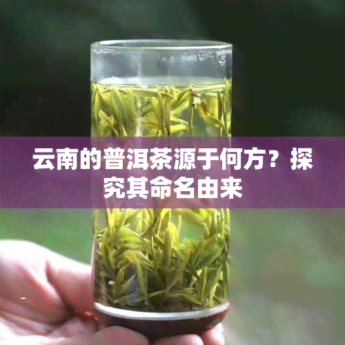 云南的普洱茶源于何方？探究其命名由来