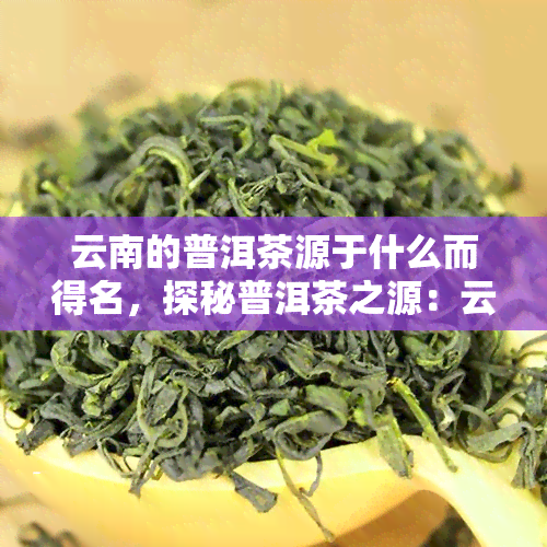 云南的普洱茶源于什么而得名，探秘普洱茶之源：云南普洱茶的命名由来