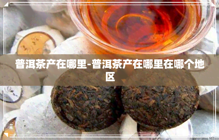 普洱茶产在哪里-普洱茶产在哪里在哪个地区