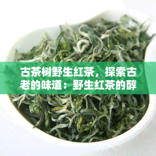 古茶树野生红茶，探索古老的味道：野生红茶的醇厚魅力