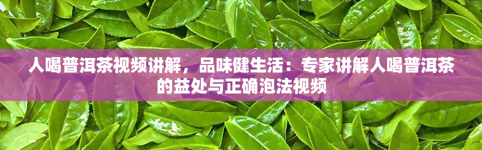 人喝普洱茶视频讲解，品味健生活：专家讲解人喝普洱茶的益处与正确泡法视频