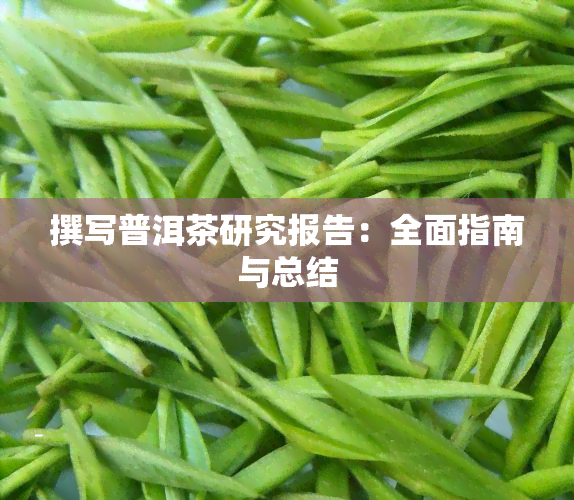 撰写普洱茶研究报告：全面指南与总结