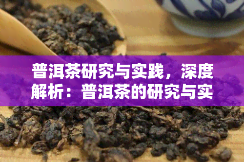 普洱茶研究与实践，深度解析：普洱茶的研究与实践