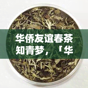 华侨友谊春茶知青梦，「华侨友谊春茶」：一知青的寻梦之旅