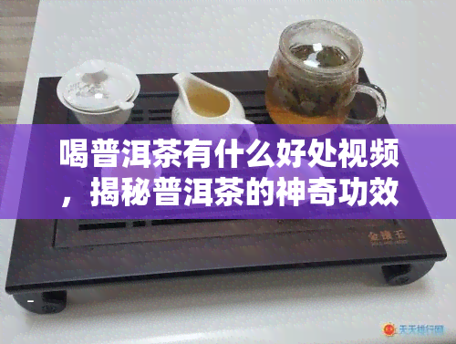 喝普洱茶有什么好处视频，揭秘普洱茶的神奇功效，让你了解喝普洱茶的好处！