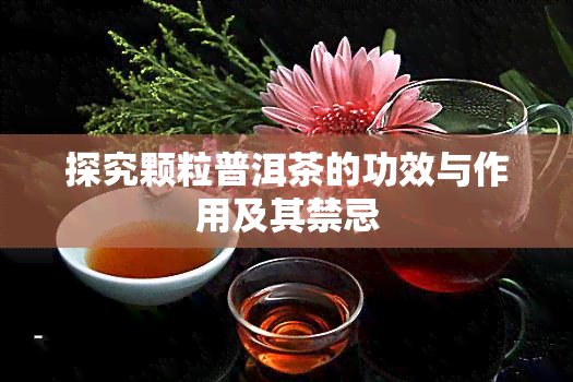 探究颗粒普洱茶的功效与作用及其禁忌