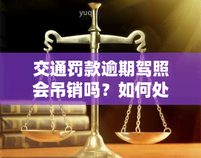 交通罚款逾期驾照会吊销吗？如何处理逾期罚款以避免驾照被吊销？