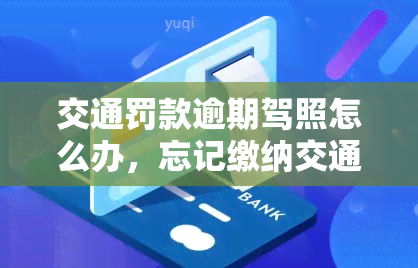 交通罚款逾期驾照怎么办，忘记缴纳交通罚款导致驾照被扣？教你如何处理逾期问题