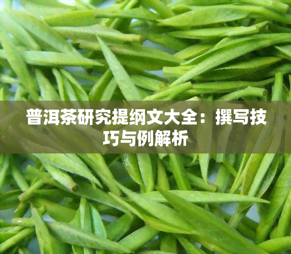 普洱茶研究提纲文大全：撰写技巧与例解析