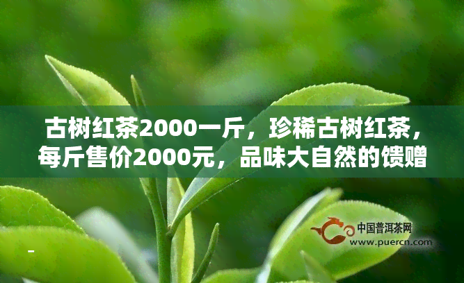 古树红茶2000一斤，珍稀古树红茶，每斤售价2000元，品味大自然的馈赠