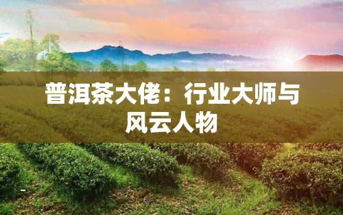 普洱茶大佬：行业大师与风云人物