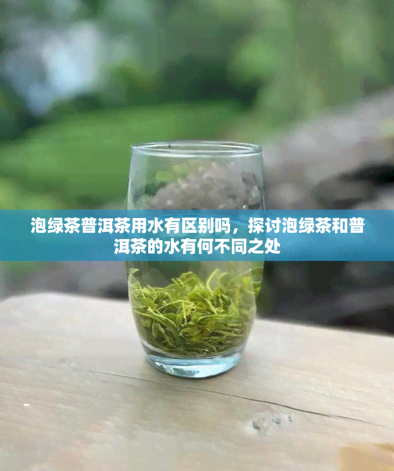 泡绿茶普洱茶用水有区别吗，探讨泡绿茶和普洱茶的水有何不同之处