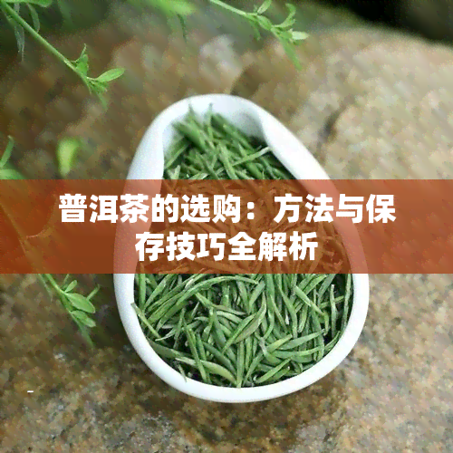 普洱茶的选购：方法与保存技巧全解析