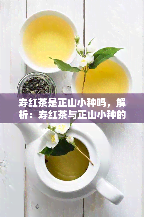 寿红茶是正山小种吗，解析：寿红茶与正山小种的关系