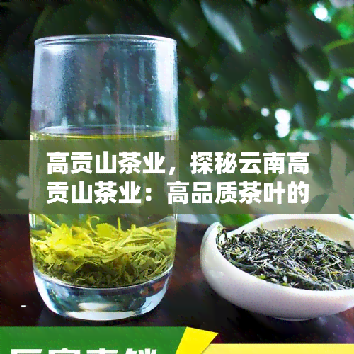 高贡山茶业，探秘云南高贡山茶业：高品质茶叶的诞生地