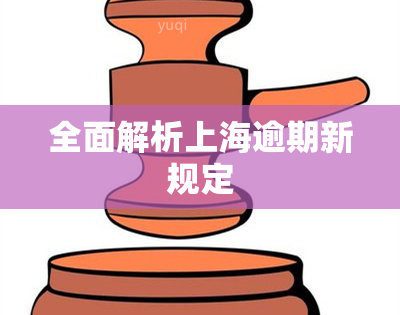 全面解析上海逾期新规定