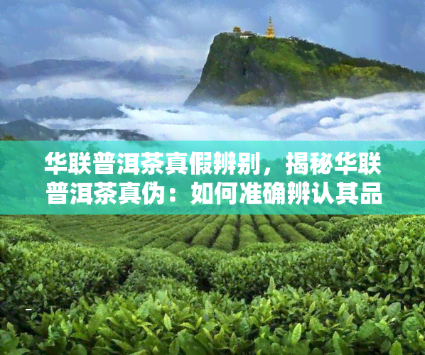 华联普洱茶真假辨别，揭秘华联普洱茶真伪：如何准确辨认其品质？