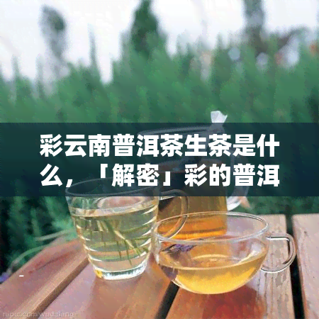 彩云南普洱茶生茶是什么，「解密」彩的普洱茶生茶：独特的口感与保健功效