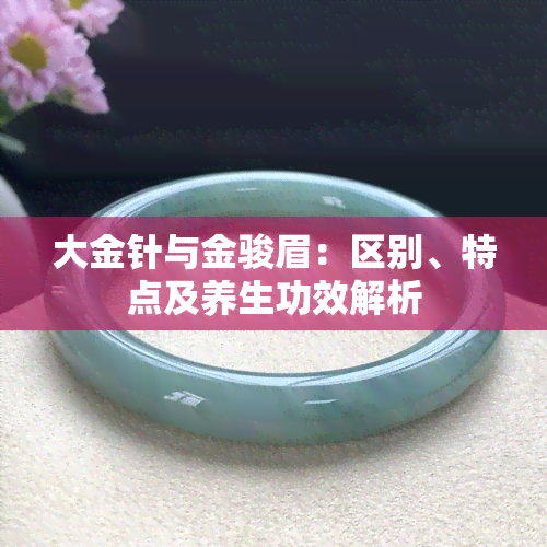 大金针与金骏眉：区别、特点及养生功效解析