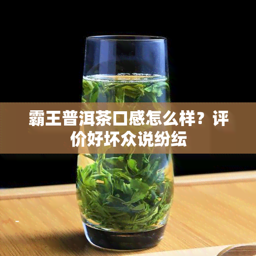 霸王普洱茶口感怎么样？评价好坏众说纷纭