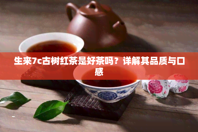 生来7c古树红茶是好茶吗？详解其品质与口感