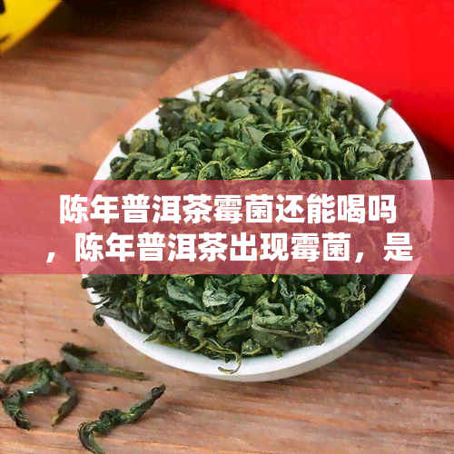 陈年普洱茶霉菌还能喝吗，陈年普洱茶出现霉菌，是否还能饮用？