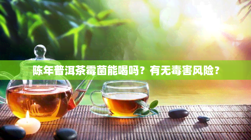 陈年普洱茶霉菌能喝吗？有无害风险？