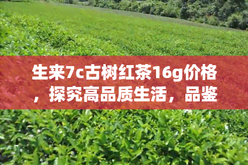 生来7c古树红茶16g价格，探究高品质生活，品鉴生来7c古树红茶16g的价格与口感