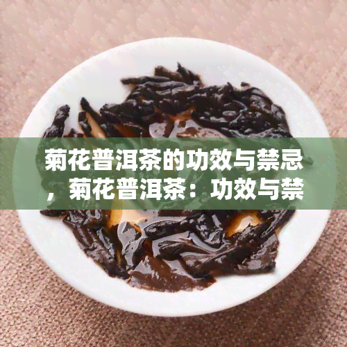 菊花普洱茶的功效与禁忌，菊花普洱茶：功效与禁忌全解析