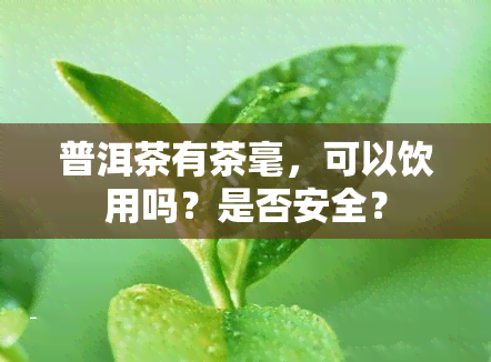 普洱茶有茶毫，可以饮用吗？是否安全？