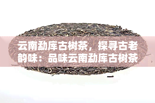 云南勐库古树茶，探寻古老韵味：品味云南勐库古树茶的独特魅力