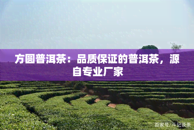 方圆普洱茶：品质保证的普洱茶，源自专业厂家