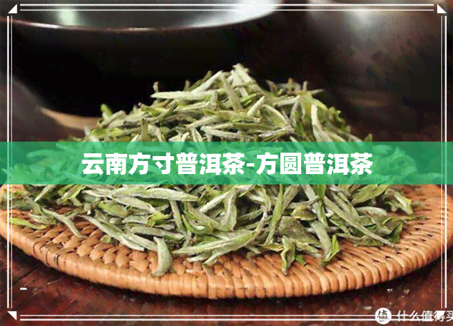 云南方寸普洱茶-方圆普洱茶