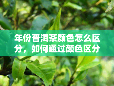 年份普洱茶颜色怎么区分，如何通过颜 *** 分年份普洱茶？