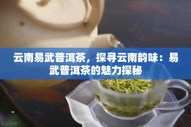 云南易武普洱茶，探寻云南韵味：易武普洱茶的魅力探秘