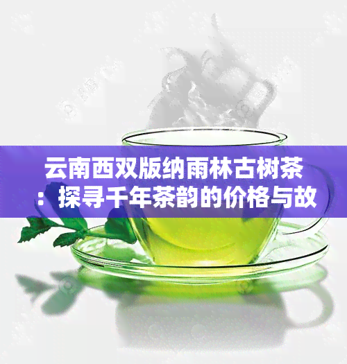 云南西双版纳雨林古树茶：探寻千年茶韵的价格与故事