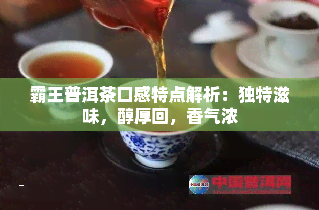 霸王普洱茶口感特点解析：独特滋味，醇厚回，香气浓