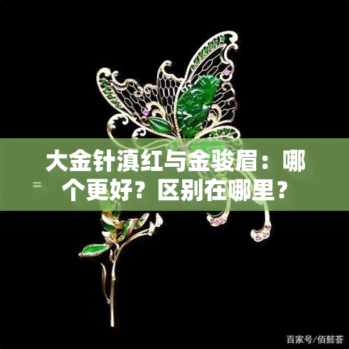 大金针滇红与金骏眉：哪个更好？区别在哪里？