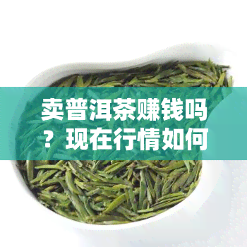 卖普洱茶赚钱吗？现在行情如何？知乎上有哪些相关讨论？