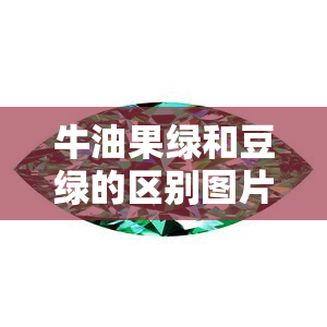 牛油果绿和豆绿的区别图片，对比鲜明：探究牛油果绿与豆绿的不同之处